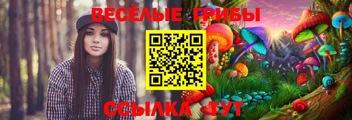 Галлюциногенные грибы Psilocybe Ливны